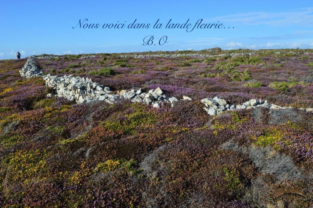 Le Clos Des Agapanthes Plogonnec ภายนอก รูปภาพ